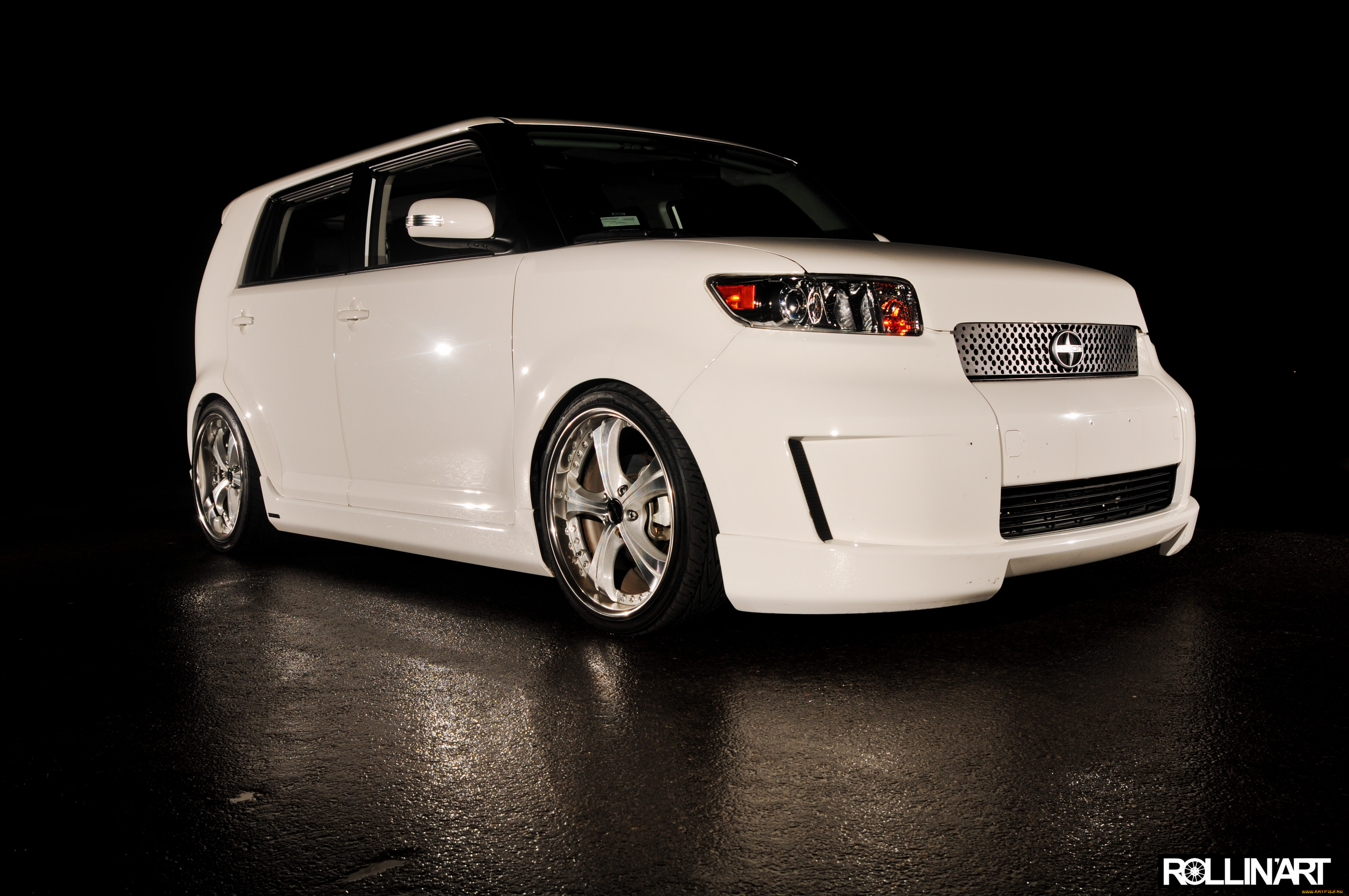 , scion